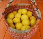 Fresh Lemons Ready to be preserved.