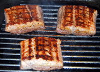 Salmon on the Griddle Plate