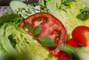 Crisp Lettuce and Fresh Tomatoes