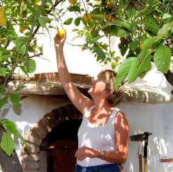 Pam Picks the Marmalade Lemons